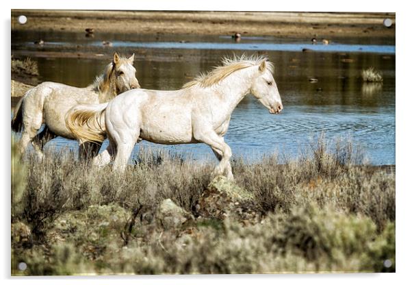 Two of a Kind Acrylic by Belinda Greb