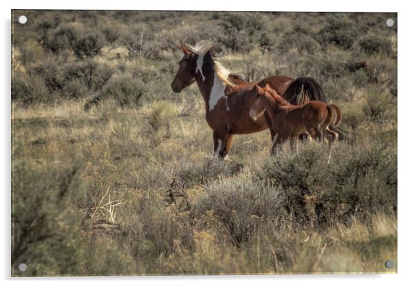 Running with Mom Acrylic by Belinda Greb