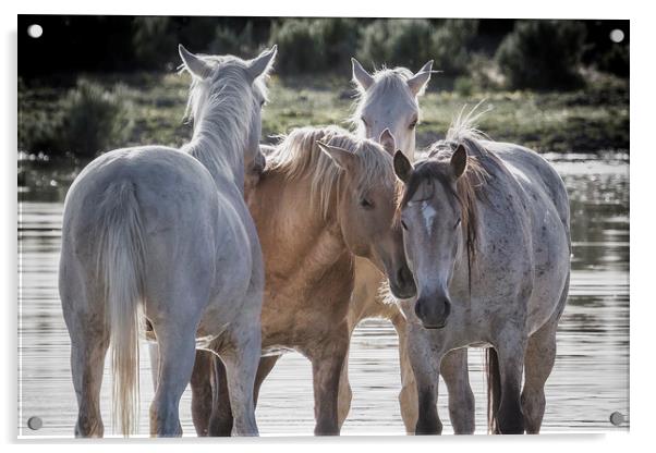 Family Time cropped Acrylic by Belinda Greb