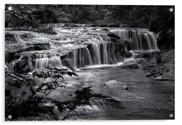 Ledge Falls, No. 4 bw Acrylic by Belinda Greb