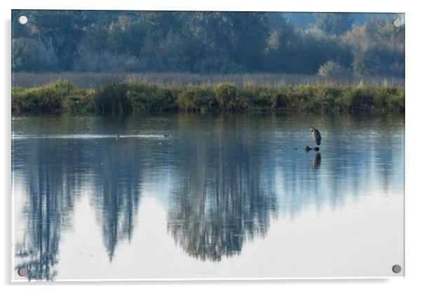 Solitary Blue Acrylic by Belinda Greb