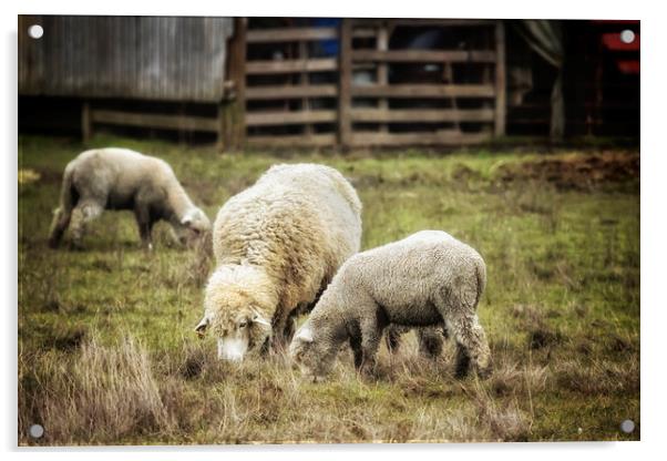 The Farmyard Acrylic by Belinda Greb