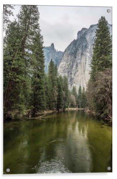 Cathedral Rocks and Spires behind Merced River Acrylic by Belinda Greb