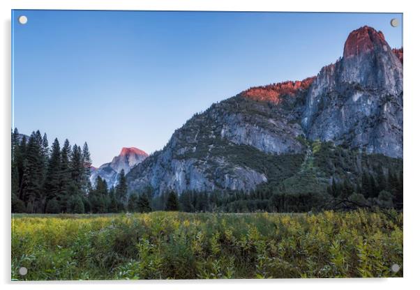 The Last Bit of Light Acrylic by Belinda Greb