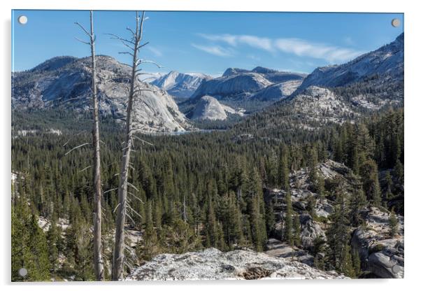 The North View Towards Tenaya Lake from Olmsted Pt Acrylic by Belinda Greb