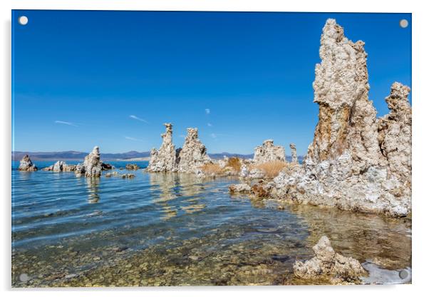 Mono Lake Tufa, No. 1 Acrylic by Belinda Greb