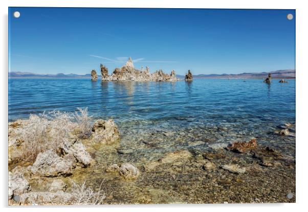 Mono Lake Tufa, No. 2 Acrylic by Belinda Greb