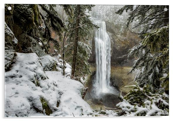 Salt Creek Falls, Another View Acrylic by Belinda Greb