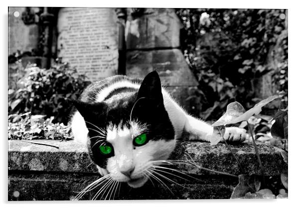 Cat in Highgate Cemetery. Acrylic by Richard Cruttwell