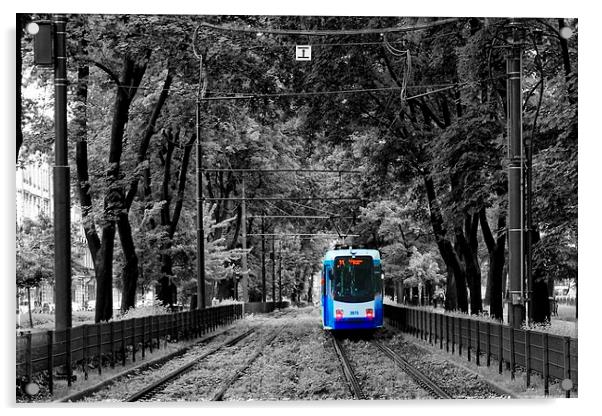 Tram in Krakow Acrylic by Richard Cruttwell