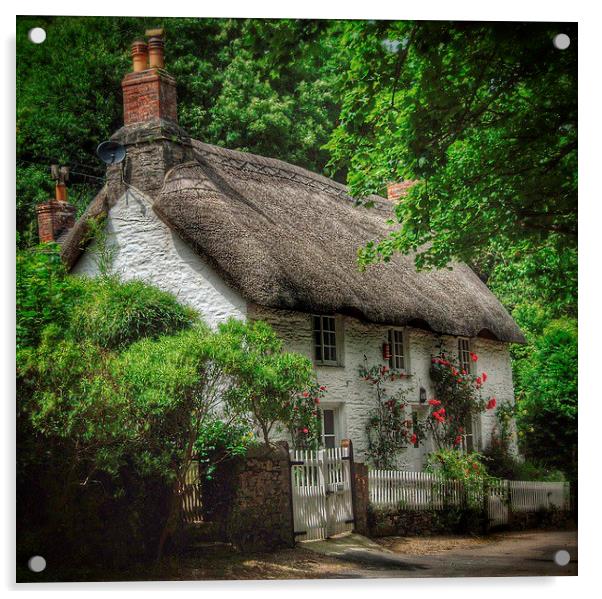 Dorset Cottage Acrylic by Scott Anderson