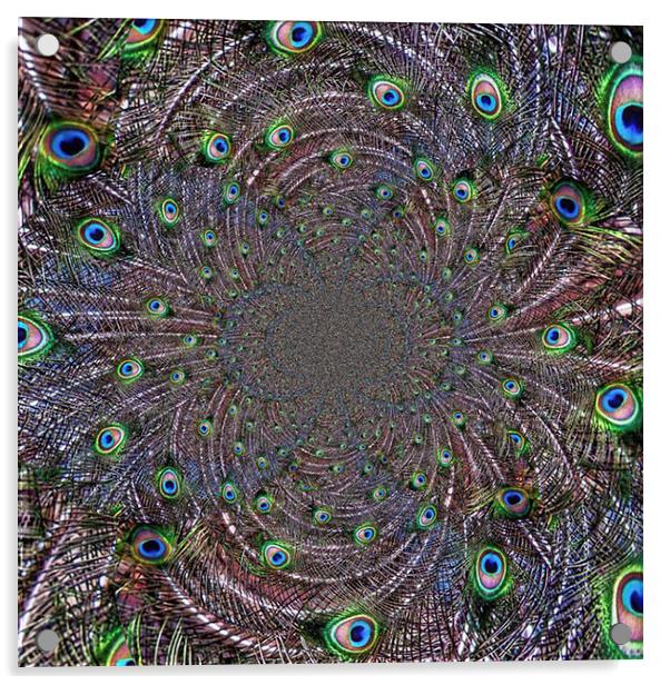Peacock Vortex Acrylic by Scott Anderson