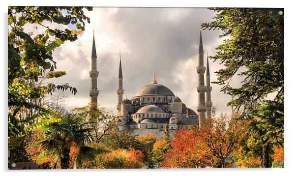 The Blue Mosque in Istanbul Acrylic by Andy Armitage