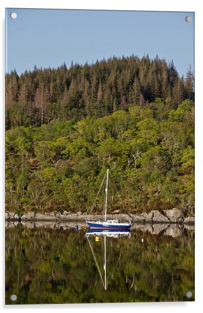 Sailing boat reflections on loch Sunart Acrylic by Dan Ward
