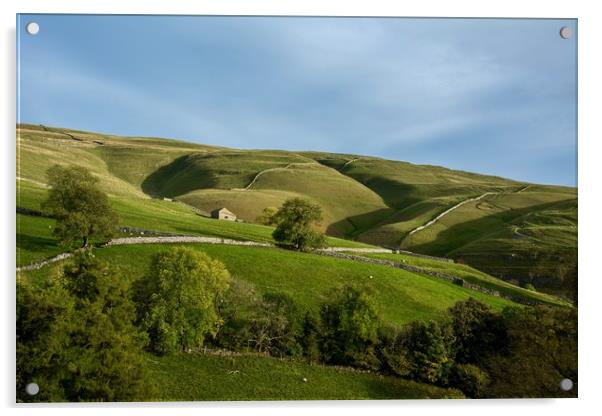 Yorkshire dales Barn Acrylic by Dan Ward