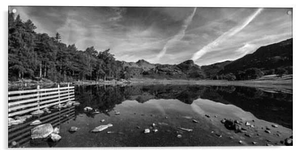 Blea Tarn Reflections, The Lake District Acrylic by Dan Ward