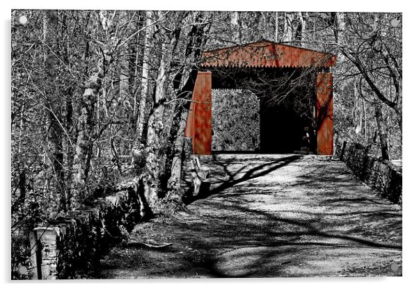 Red Covered Bridge Acrylic by Tom and Dawn Gari