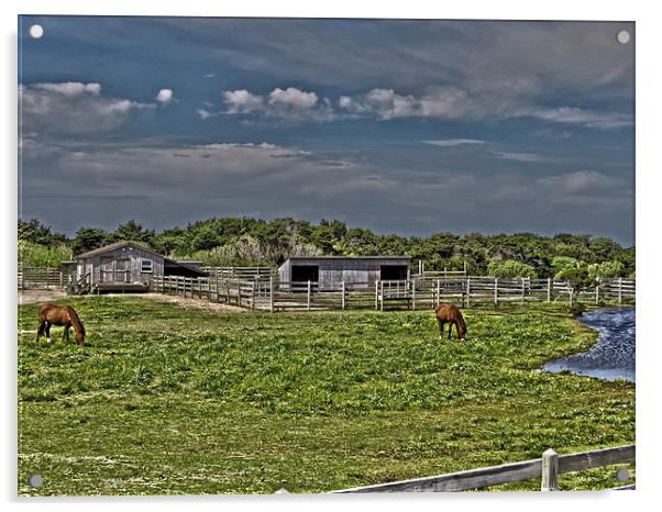 Ponies of Ocracoke Acrylic by Tom and Dawn Gari