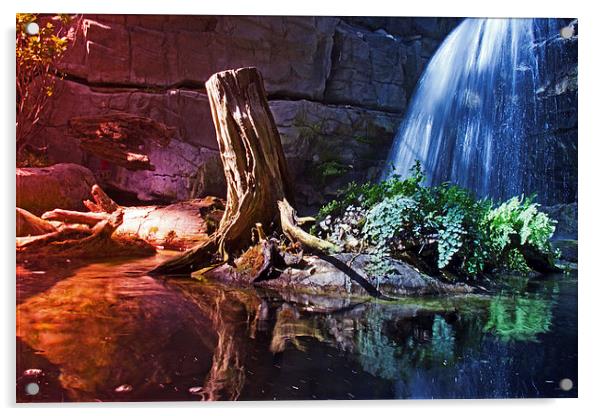 Scenic Waterfall Acrylic by Tom and Dawn Gari