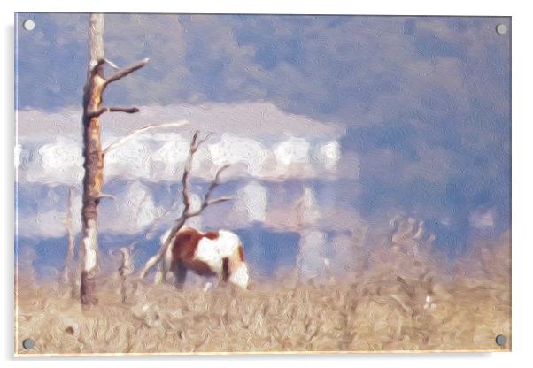  Grazing Wild Pony Acrylic by Tom and Dawn Gari