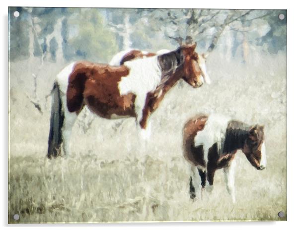  Wild Ponies Acrylic by Tom and Dawn Gari