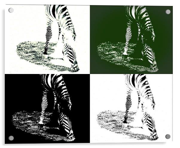  Zebra Abstract Acrylic by Tom and Dawn Gari