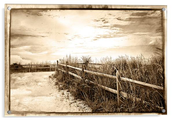 Sepia Pathway To The Sea  Acrylic by Tom and Dawn Gari