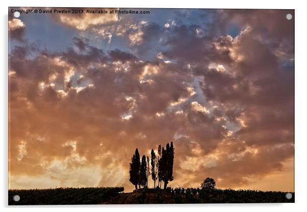 Sunset in Tuscany Acrylic by David Preston