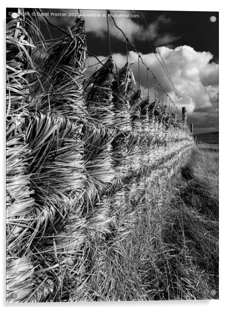 Windswept Fence Acrylic by David Preston