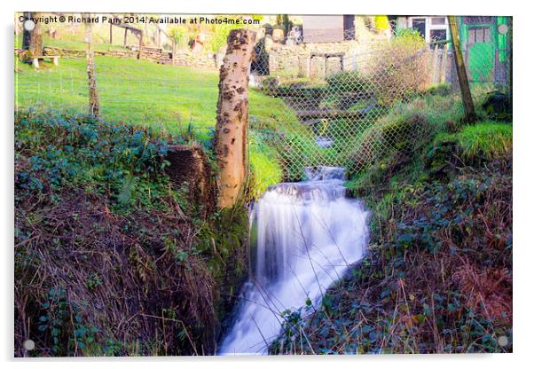 Small Waterfall Tyagwyn Acrylic by Richard Parry