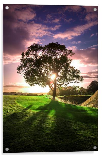 lucidimages-old-sarum-sunset-tree Acrylic by Raymond  Morrison