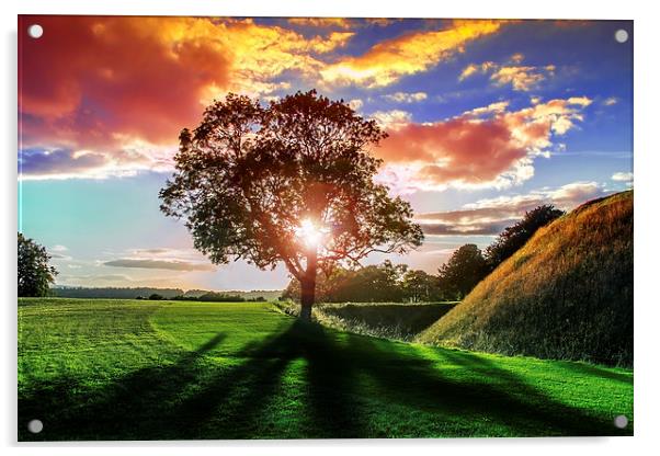 lucidimages-old-sarum-sunset-tree-2 Acrylic by Raymond  Morrison