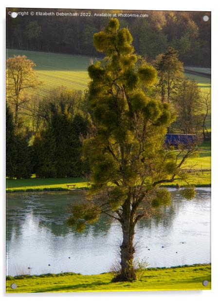 Mistletoe Tree at Latimer, Chess Valley Acrylic by Elizabeth Debenham