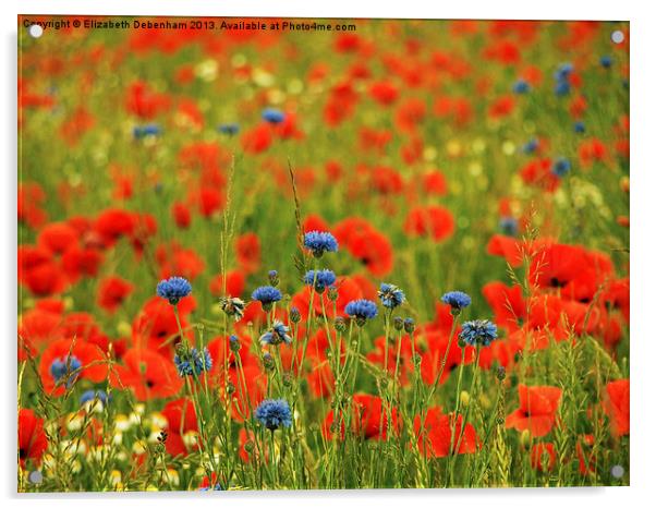 Poppies and Cornflowers Acrylic by Elizabeth Debenham