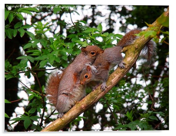 Squirrel and her child Acrylic by Elizabeth Debenham