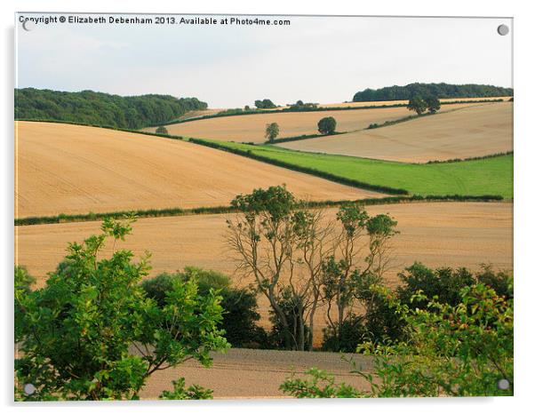 Chiltern View from A41 Bypass Acrylic by Elizabeth Debenham