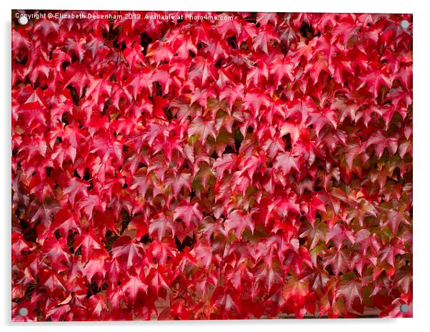 Boston Ivy in Autumn Acrylic by Elizabeth Debenham