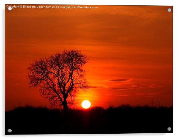 Tree silhouette in a sunset blaze Acrylic by Elizabeth Debenham