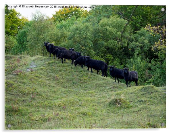  Guardians of the Nature reserve at Aston Clinton Acrylic by Elizabeth Debenham