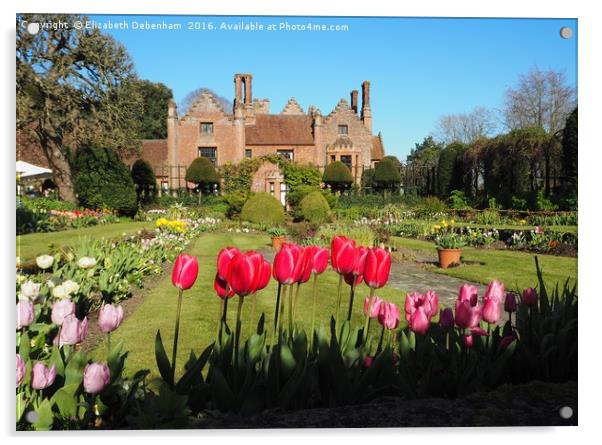 Spring Tulips at Chenies Manor Sunken Garden Acrylic by Elizabeth Debenham