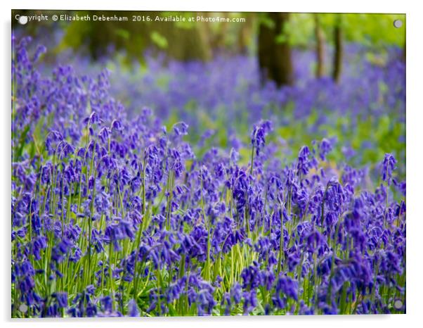 Just Bluebells Acrylic by Elizabeth Debenham