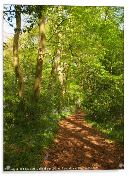 Portrait of a Dappled Woodland Glade in Spring Acrylic by Elizabeth Debenham