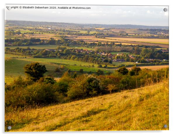 Ivinghoe Beacon towards Edlesborough. Acrylic by Elizabeth Debenham