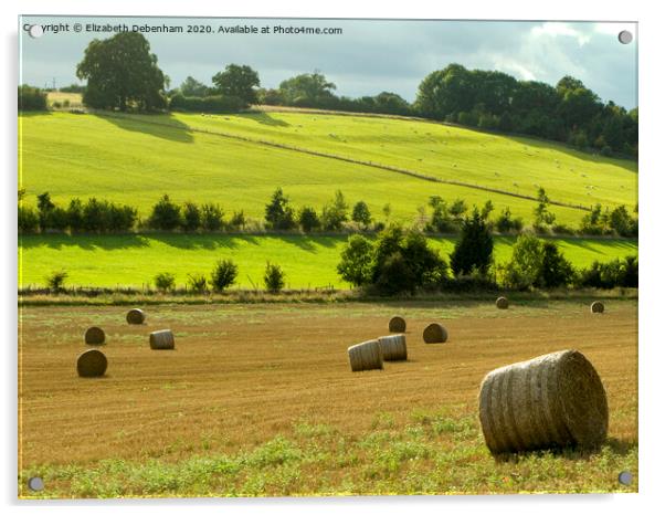 Hay Bales at Nettleden Acrylic by Elizabeth Debenham