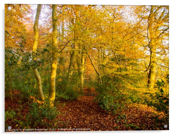 Woodland path in Autumn Acrylic by Elizabeth Debenham