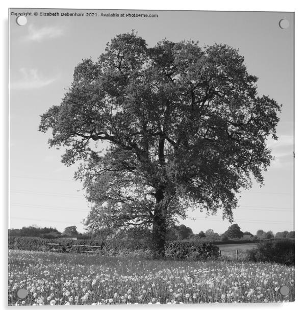 Oak Tree in a field. Acrylic by Elizabeth Debenham