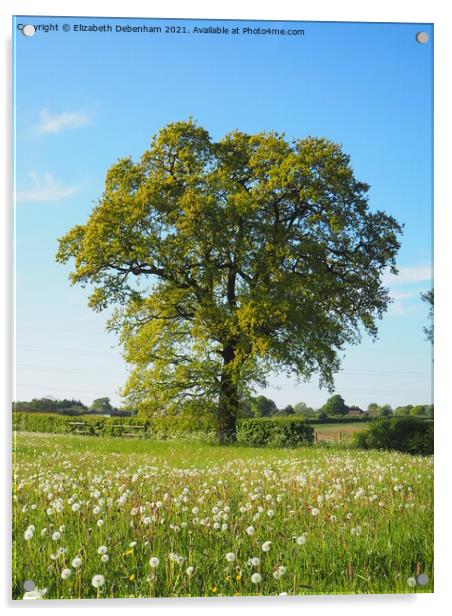 Single Oak Tree Acrylic by Elizabeth Debenham
