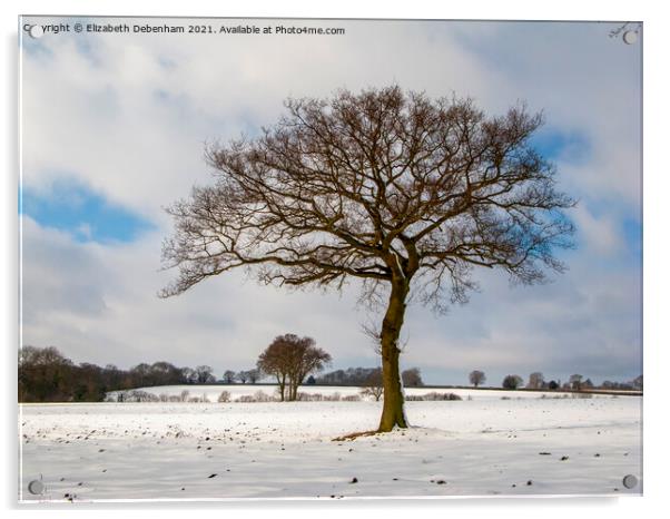 Lone Oak tree in Snow Acrylic by Elizabeth Debenham