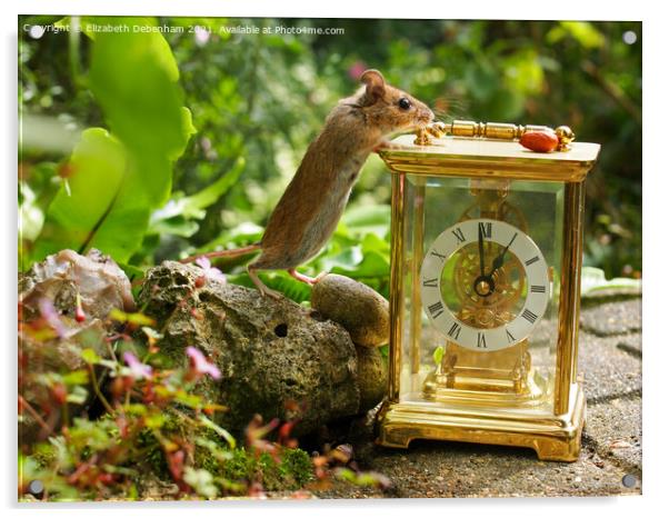 Wild woodmouse on a Clock. Acrylic by Elizabeth Debenham