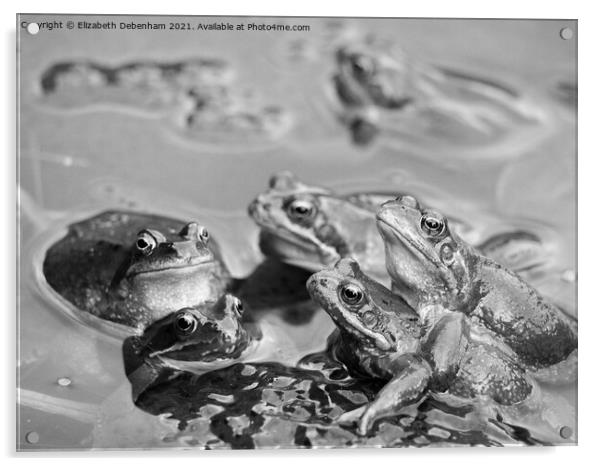 Frog Party Acrylic by Elizabeth Debenham